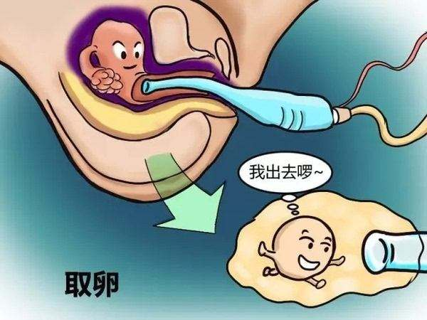 哪家机构代生孩子需要什么步骤_试管代怀孩子遗传谁的详细过程,需要经历这九个步骤