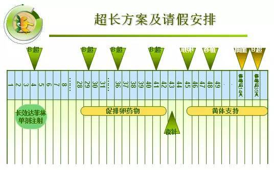试管移植着床后吃什么有助于胎儿发育